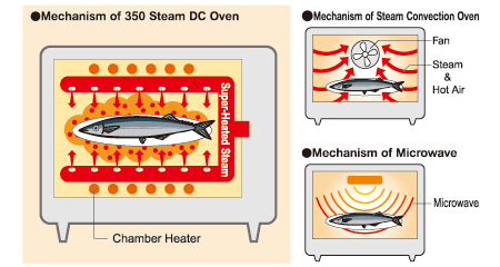 Scheme of 350 Steam DC Oven